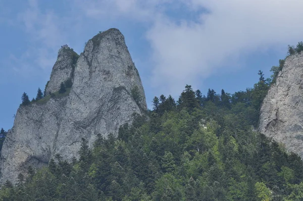 Skalliga Bergstoppar Tre Kronor Pieniny National Park Polen Utsikt Från — Stockfoto