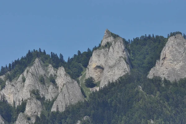 Plešaté Vrcholky Hor Tři Koruny Národním Parku Pieniny Polsku Pohled — Stock fotografie