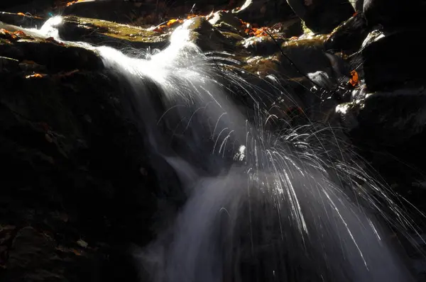 Fonte Vístula Fluxo Cristalino Água Limpa Cachoeira — Fotografia de Stock