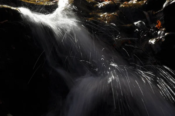 Fonte Vístula Fluxo Cristalino Água Limpa Cachoeira — Fotografia de Stock