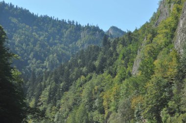 Pieniny Ulusal Parkı 'ndaki Dunajec Nehri' nde rafting yaparken ahşap katlanır mekiklerin üzerinde iple bağlanmıştı. Rafterler akıntıya karşı kürek çekiyor, dibi kayalık ve akıntısı güçlü..