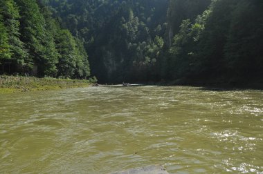 Pieniny Ulusal Parkı 'ndaki Dunajec Nehri' nde rafting yaparken ahşap katlanır mekiklerin üzerinde iple bağlanmıştı. Rafterler akıntıya karşı kürek çekiyor, dibi kayalık ve akıntısı güçlü..