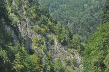 Pieniny Ulusal Parkı 'ndaki Dunajec Nehri' nde rafting yaparken ahşap katlanır mekiklerin üzerinde iple bağlanmıştı. Rafterler akıntıya karşı kürek çekiyor, dibi kayalık ve akıntısı güçlü..