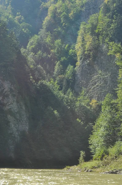 Rafting Rzece Dunajec Pienińskim Parku Narodowym Drewnianych Składanych Wahadłowcach Przywiązanych — Zdjęcie stockowe