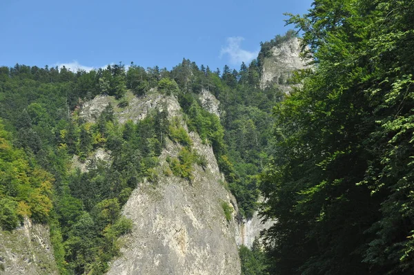 Rafting Rzece Dunajec Pienińskim Parku Narodowym Drewnianych Składanych Wahadłowcach Przywiązanych — Zdjęcie stockowe