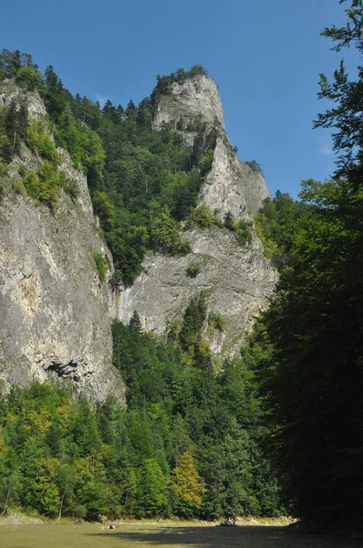Forsränning Dunajec Floden Pieniny National Park Trä Fällbara Skyttlar Bundna — Stockfoto