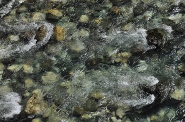 Karadağ 'daki Tara Nehri üzerindeki köprü ve kanyonun iki kıyısını birbirine bağlayan köprü. Temiz bir nehrin taştan yatağı vadinin içinden bir dağ yamacında yol boyunca akıyor..