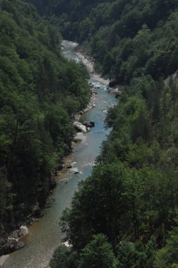 Karadağ 'daki Tara Nehri üzerindeki köprü ve kanyonun iki kıyısını birbirine bağlayan köprü. Temiz bir nehrin taştan yatağı vadinin içinden bir dağ yamacında yol boyunca akıyor..