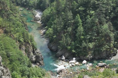 Karadağ 'daki Tara Nehri üzerindeki köprü ve kanyonun iki kıyısını birbirine bağlayan köprü. Temiz bir nehrin taştan yatağı vadinin içinden bir dağ yamacında yol boyunca akıyor..