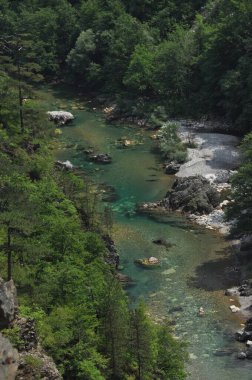 Karadağ 'daki Tara Nehri üzerindeki köprü ve kanyonun iki kıyısını birbirine bağlayan köprü. Temiz bir nehrin taştan yatağı vadinin içinden bir dağ yamacında yol boyunca akıyor..