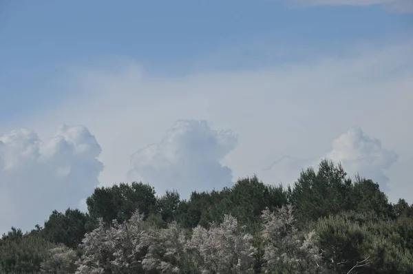Große Weiße Kumuluswolken Die Sich Blauen Himmel Ufer Der Adria — Stockfoto