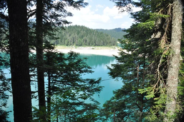 Zabljak yakınlarındaki Durmitor dağlarında kara göl. Karadağ 'da güzel bir yer