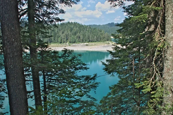 Zabljak Yakınlarındaki Durmitor Dağlarında Kara Göl Karadağ Güzel Bir Yer — Stok fotoğraf