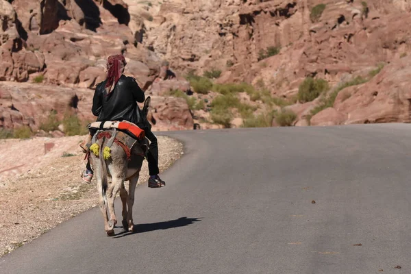 Esel Als Transport Und Lasttiere Petra Jordanien Hartnäckige Tiere Transportierten — Stockfoto