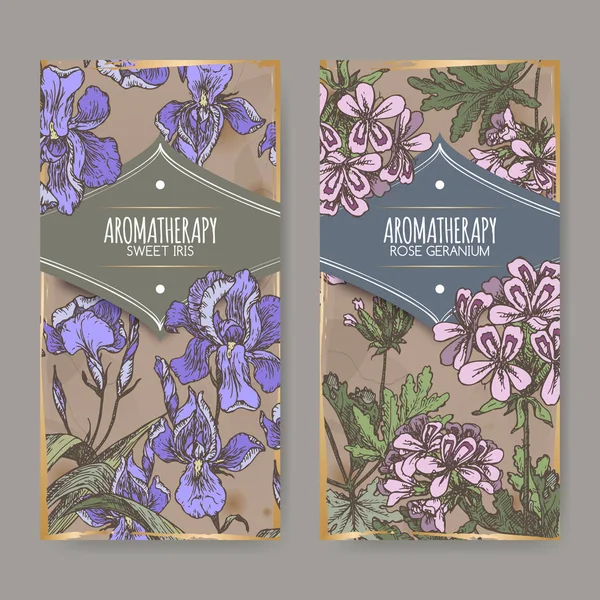 Étiquettes deux couleurs avec iris doux et géranium rose . — Image vectorielle