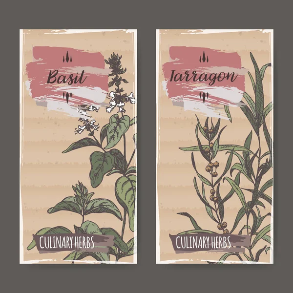 Étiquettes bicolores avec croquis basilic et estragon . — Image vectorielle