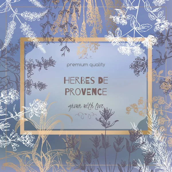 식물 스케치와 흐린 배경에 Herbes de 프로방스 서식 파일. — 스톡 벡터