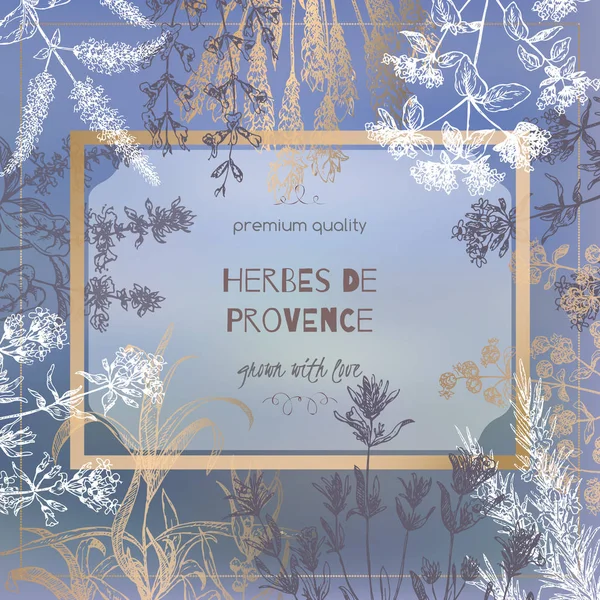 Botanik çizimler ile arka plan bulanık şablonunda Herbes de Provence.