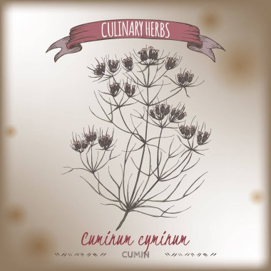 Kimyon renk vektör el antika arka plan üzerinde çizilmiş kroki.