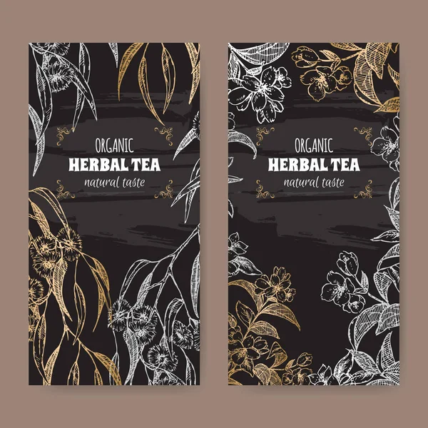 Två etiketter för eukalyptus och jasmin te på svart bakgrund. — Stock vektor