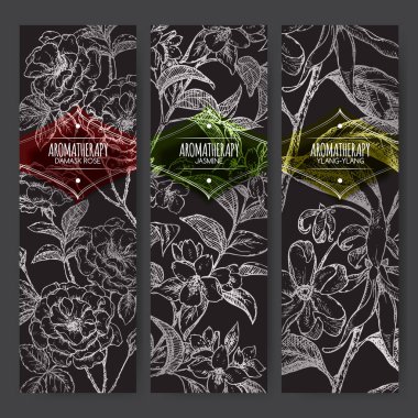 Şam gülü, Yasemin, ylang kroki siyah ile üç afiş.