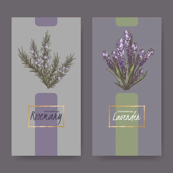 Två eleganta etiketter med lavendel och rosmarin färg buketter. — Stock vektor