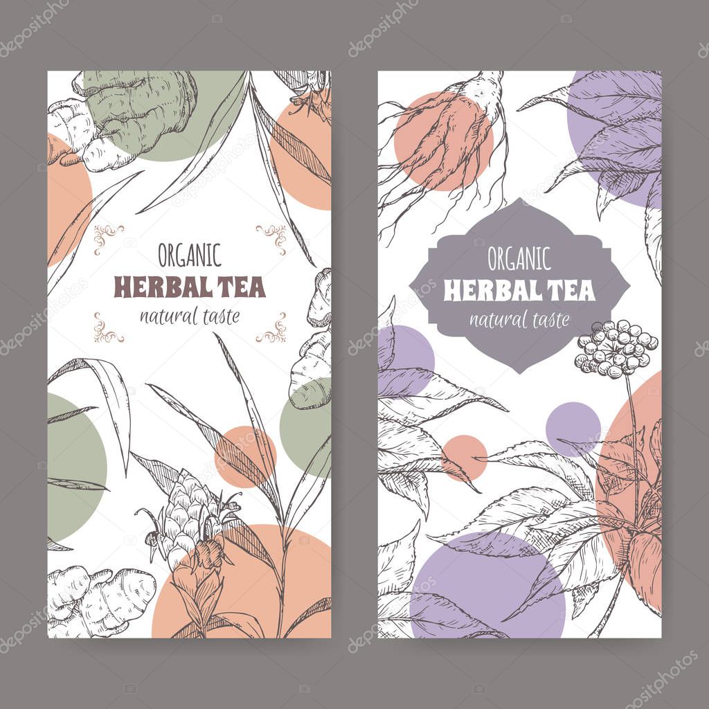Two vector herbal tea labels with ginger and ginseng sketch.