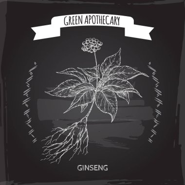 Panax quinquefolius aka ginseng el çizilmiş kroki yazı tahtası arka plan üzerinde.