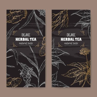 Zencefil ve ginseng kroki siyah sahip iki vektör etiketi.