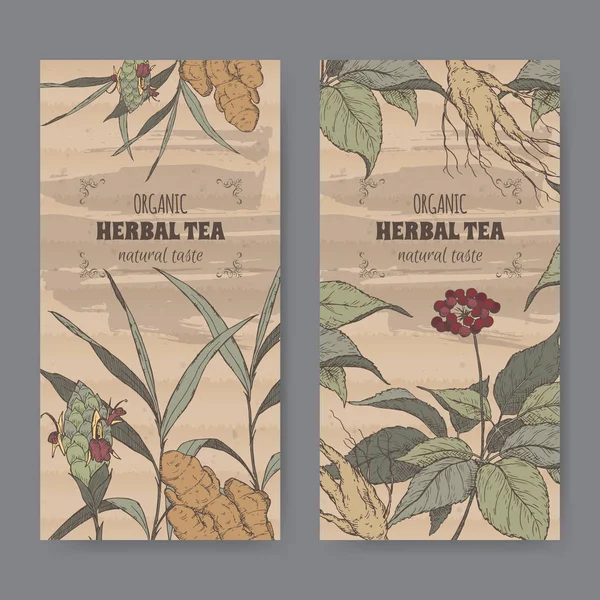 İki renk zencefil ve ginseng için vintage etiket bitkisel çay.