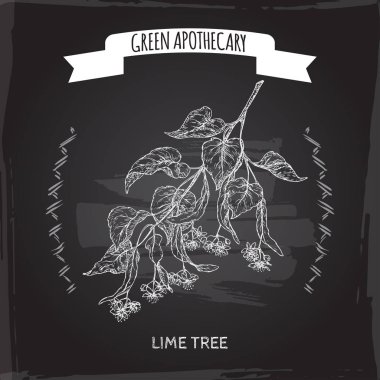 Tilia cordata aka küçük yapraklı kireç veya ıhlamur kroki yazı tahtası arka plan üzerinde.