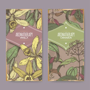 Vanilya, tarçın renkli kroki antika arka plan üzerinde sahip iki etiketi.