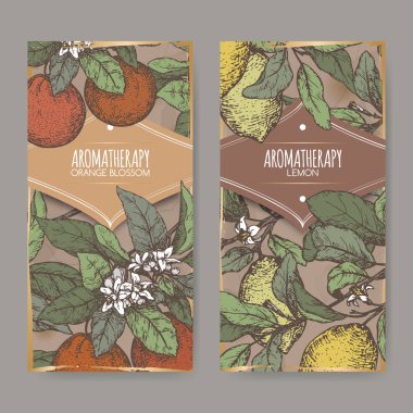 Renk portakal çiçeği ve limon kroki ile iki etiket.