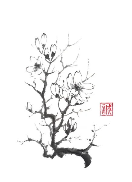 Kvetoucí magnolie strom japonském stylu původní tušové malby sumi-e. — Stock fotografie