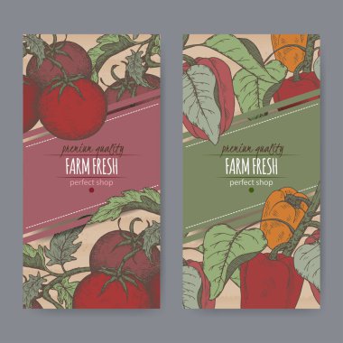 Taze domates ve biber karton doku ile iki renk etiket kümesi.