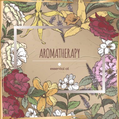 Romantik çerçeve şablonu aromatik bitkiler ile kroki üzerinde vintage arka plan.