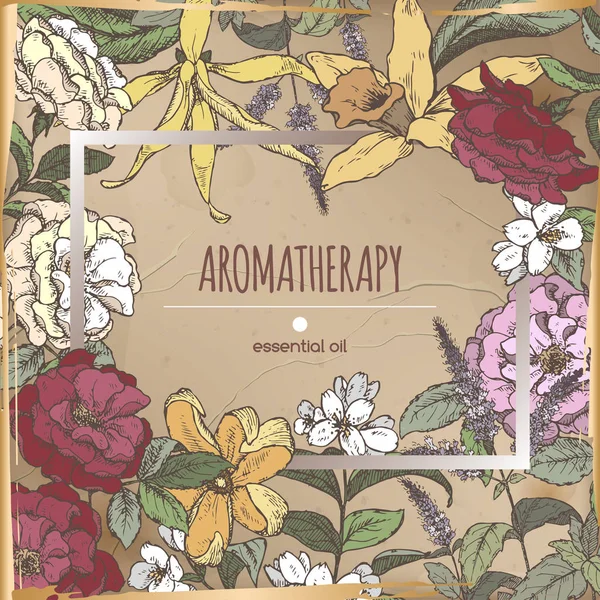 Romantický snímek šablony s aromatickými rostlinami skica na vinobraní pozadí. — Stockový vektor