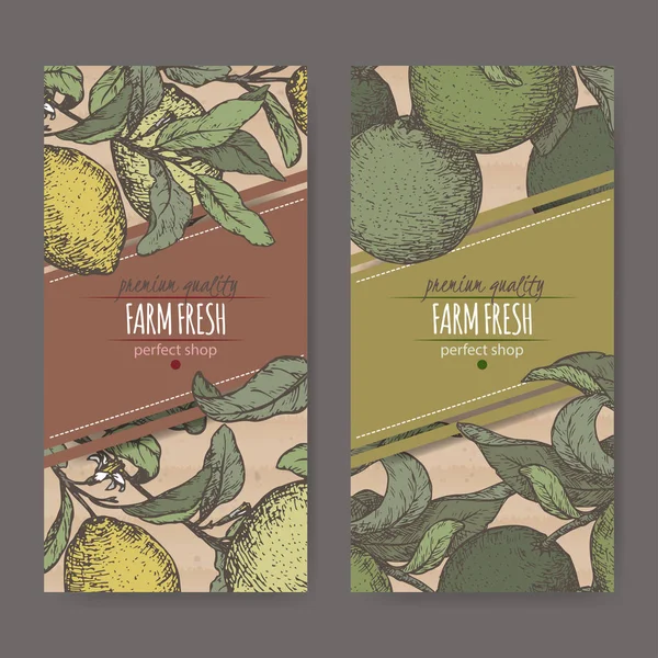 Set de dos etiquetas de color con frutas frescas de limón y lima sobre textura de cartón . — Vector de stock