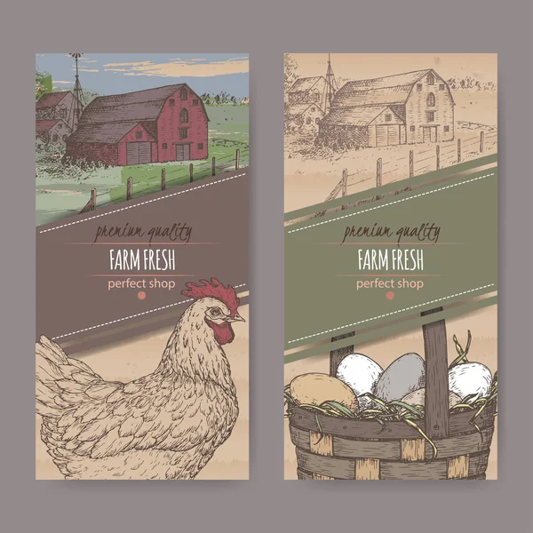Étiquettes deux couleurs avec ferme, poulet et œufs sur la texture du carton . — Image vectorielle