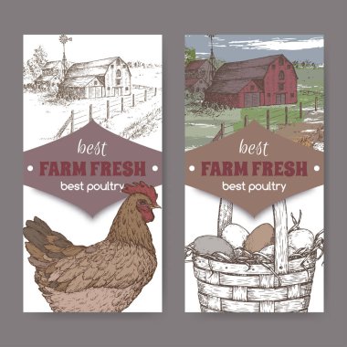 Çiftlik evi, renk tavuk ve yumurta beyaz üzerine iki etiket.
