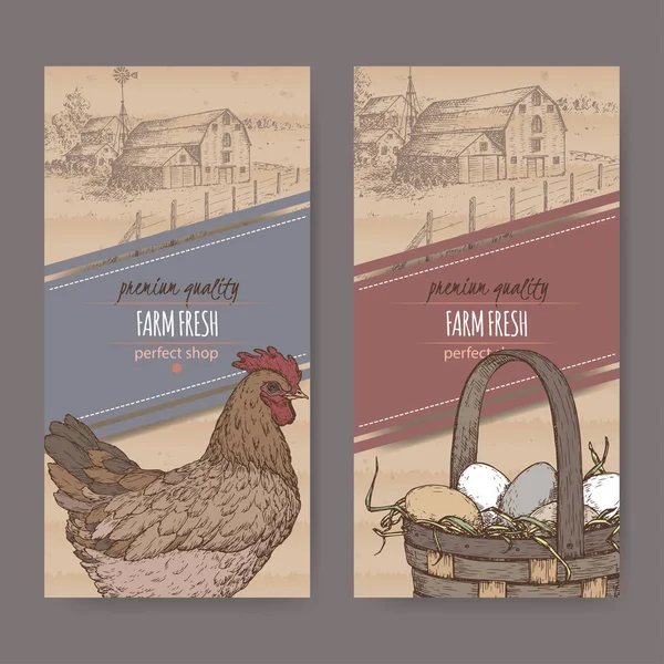 Çiftlik evi, renk tavuk ve yumurta karton doku sahip iki etiketi. — Stok Vektör