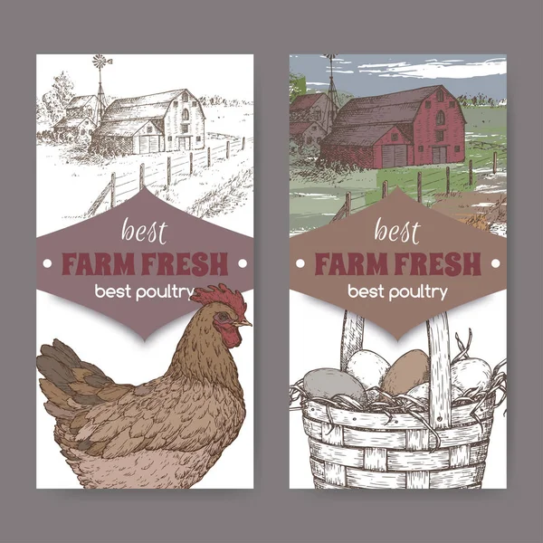 Çiftlik evi, renk tavuk ve yumurta beyaz üzerine iki etiket.