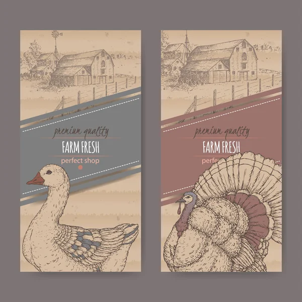 Δύο αγρόκτημα κατάστημα ετικέτες με αγροικία, αχυρώνα, χήνα και Τουρκίας σε χαρτόνι. — Διανυσματικό Αρχείο