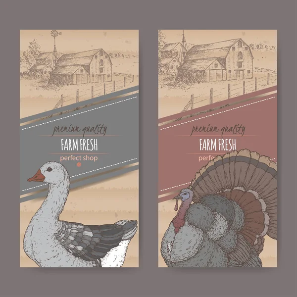 Δύο αγρόκτημα κατάστημα ετικέτες με αγροικία, αχυρώνα, χρώμα χήνας και Τουρκίας σε χαρτόνι. — Διανυσματικό Αρχείο