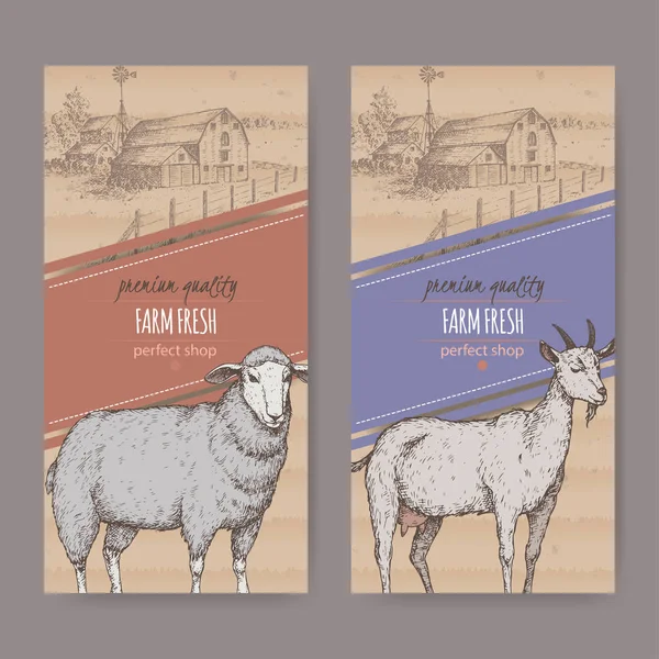 Dos etiquetas de granja con granja, granero, oveja y cabra . — Archivo Imágenes Vectoriales