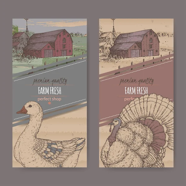 两个农家店标签颜色农舍、 谷仓、 鹅与土耳其在硬纸板上. — 图库矢量图片