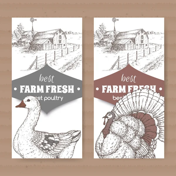 Две фермерские этикетки с фермерским домом, сараем, гусём и индейкой на белом . — стоковый вектор