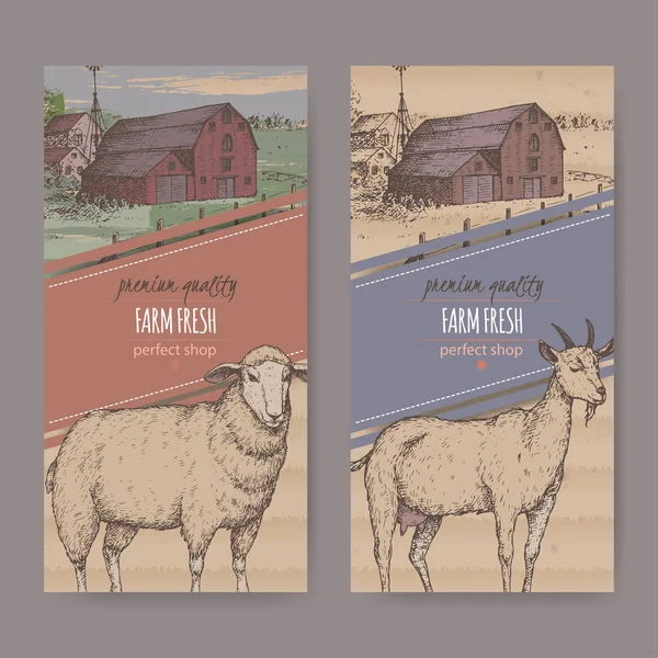 İki Dükkanı etiketlerle çiftlik evi, renk ahır, koyun ve keçi çiftliği. — Stok Vektör