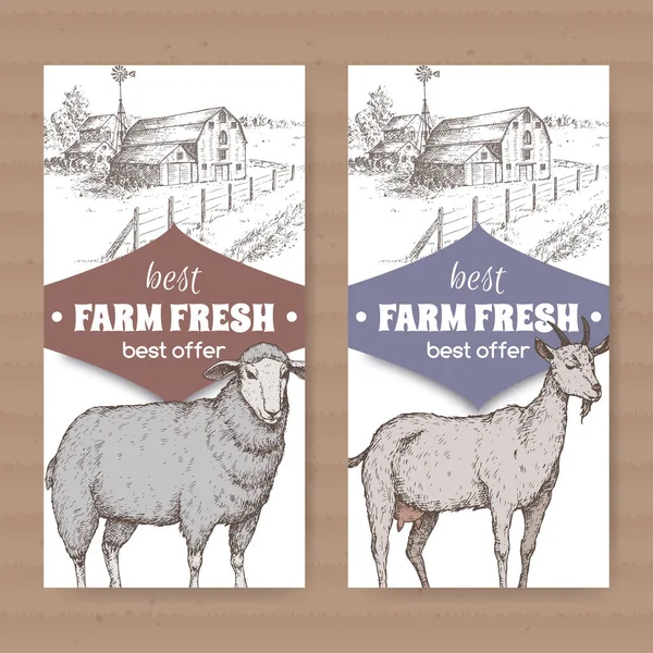 Два фермерских магазина этикетки с фермерским домом, сарай, овцы и козы на белом . — стоковый вектор