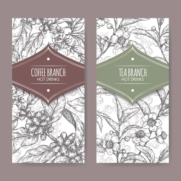 Set de dos etiquetas con boceto de rama de té y café. Colección de bebidas calientes . — Vector de stock
